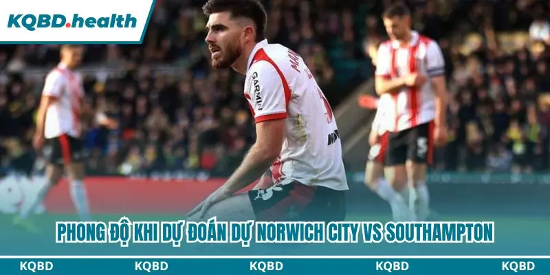 Dự Đoán Norwich City Vs Southampton lúc 01h45 ngày 15/10 – EFL Championship 1 Đánh giá toàn diện phong độ hai đội trước vòng 10 Championship